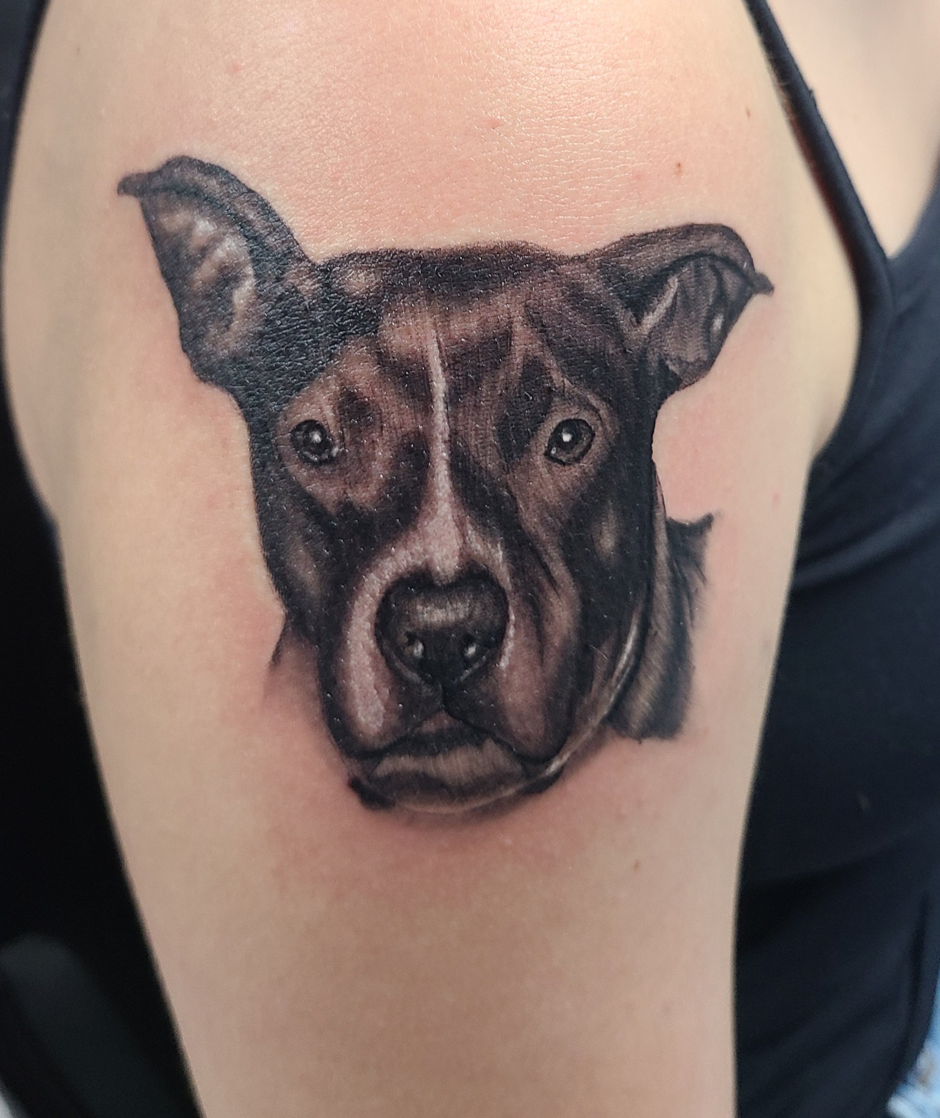 Black and grey dog portrait tattoo by Social Suicide Tattoos in Pahrump, Nevada